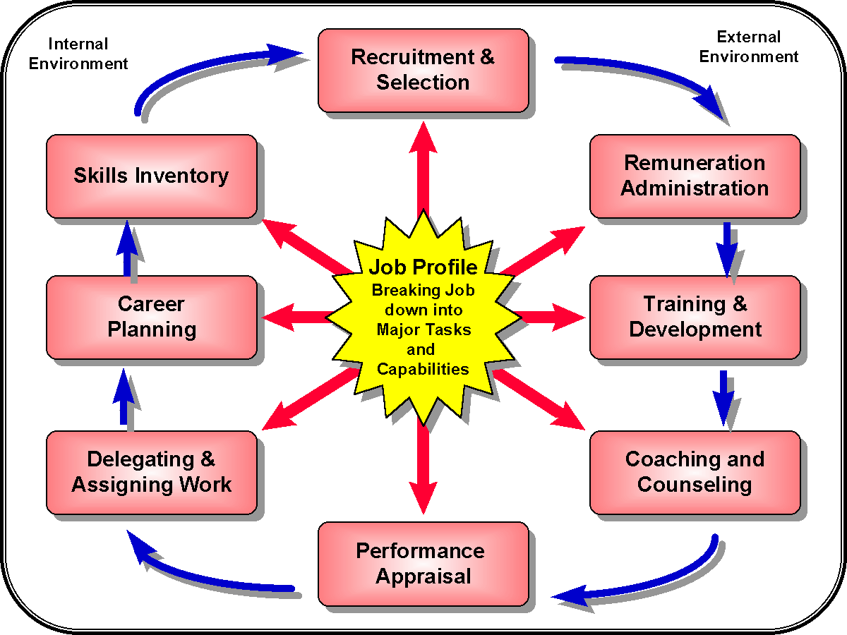 Human Resources Management The Functions Of Human