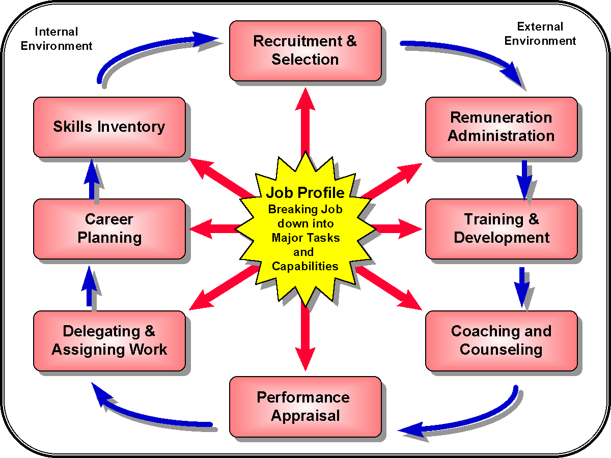 what is human resource function